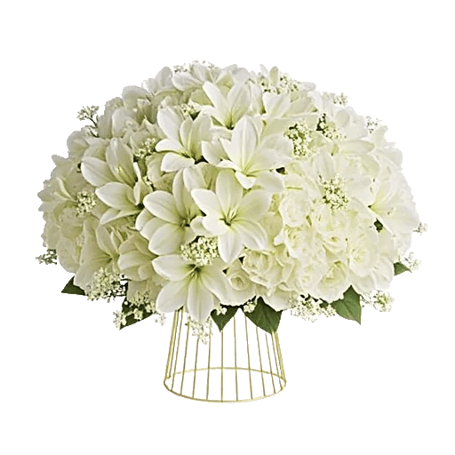 Graceful Lily Display