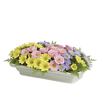 Delicate Petal Cascade