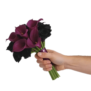 Elegant Calla Lilies