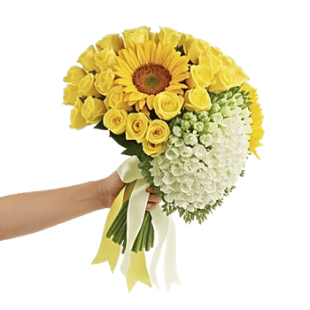 Amber Sunflower Glow