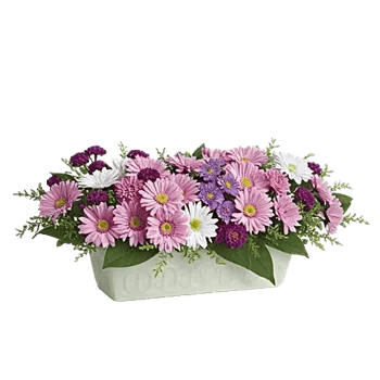 Delicate Petal Cascade