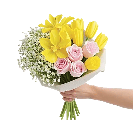 Blossom Harmony Display