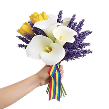 Blossom Harmony Display