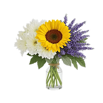 Ivory Blossom Radiance