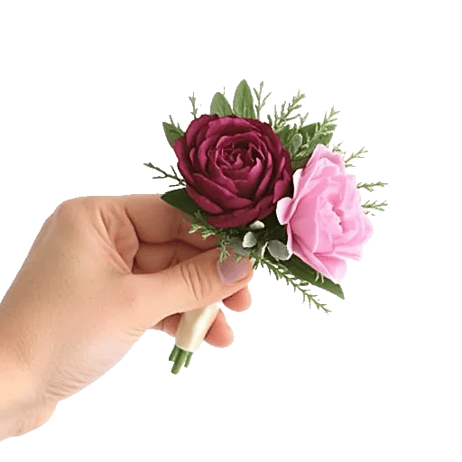 Plum Blossom Radiance