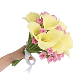 Elegant Calla Lilies