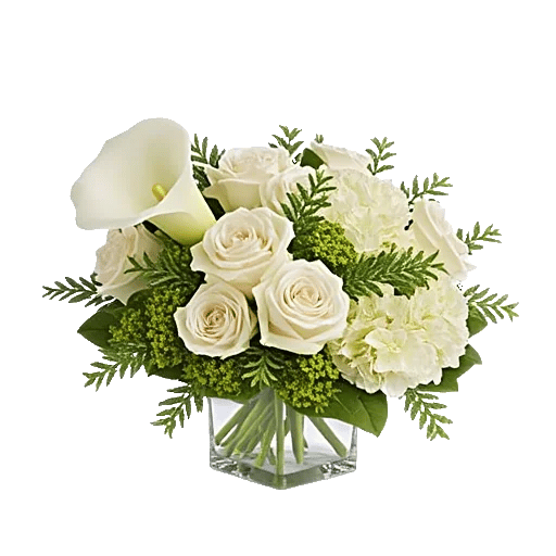 Elegant Calla Lilies