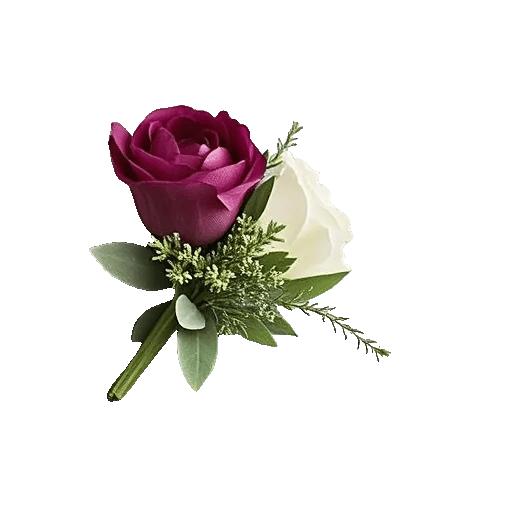 Plum Blossom Radiance