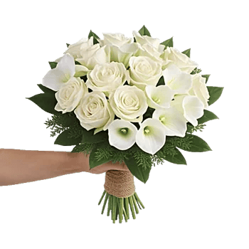 Ivory Garden Grace