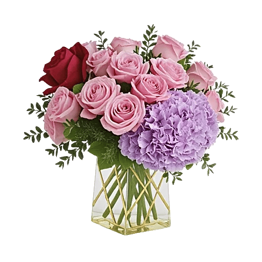 Golden Rose Radiance