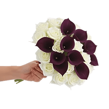 Elegant Calla Lilies