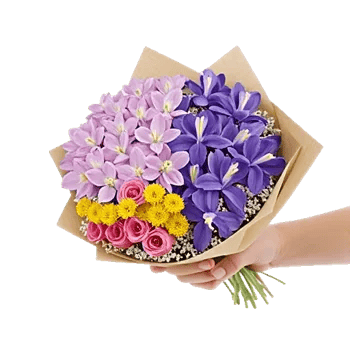 Pastel Blossom Grace