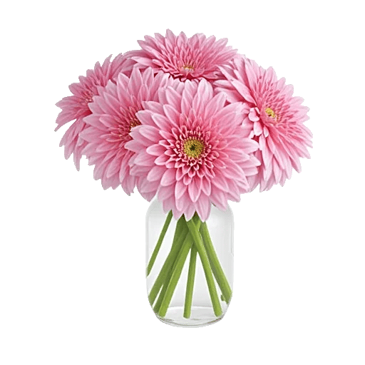 Crimson Blossom Harmony