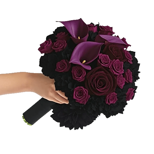 Elegant Calla Lilies