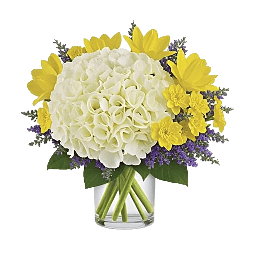 Ivory Blossom Radiance