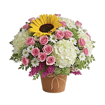 Amber Sunflower Glow