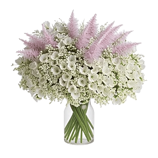 Ivory Blossom Radiance
