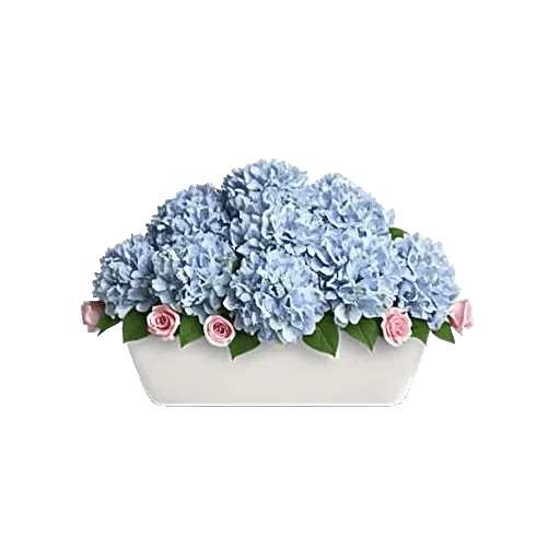 Serene Petal Harmony