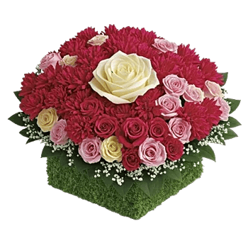 Delicate Petal Cascade