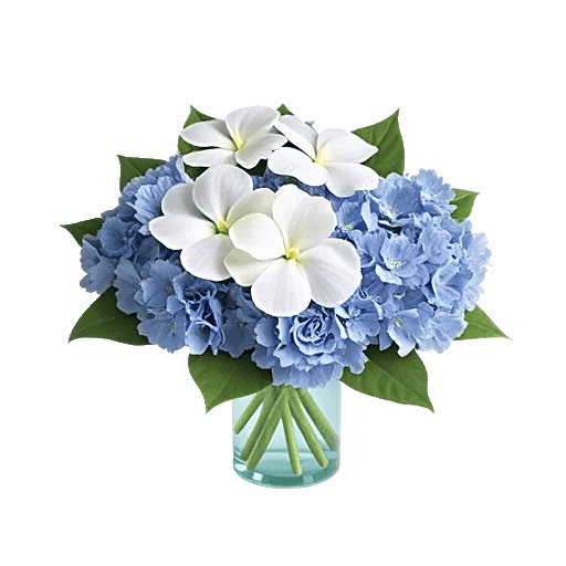 Serene Petal Harmony