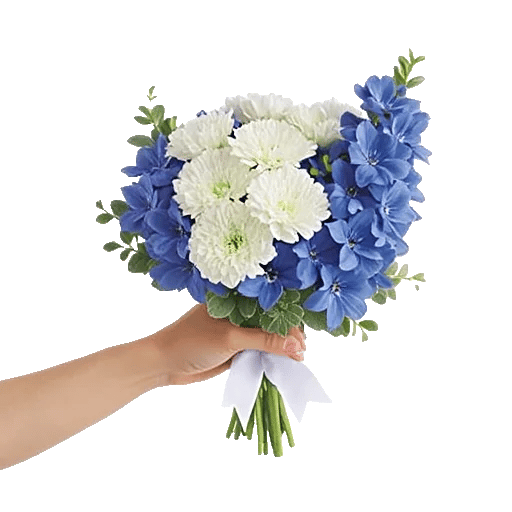 Blossom Petal Serenity