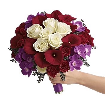 Elegant Calla Lilies