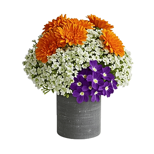 Velvet Tulip Display