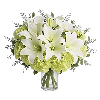 Ivory Blossom Radiance