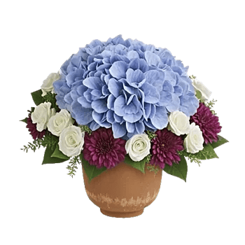 Sapphire Bloom Whisper