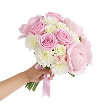 Pastel Pink Roses