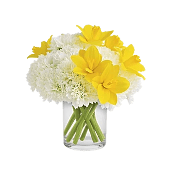 Delicate Petal Cascade