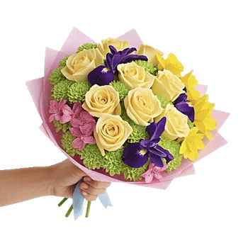 Blossom Harmony Display