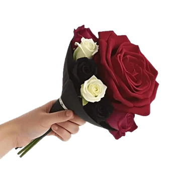 Crimson Rose Elegance