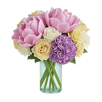 Petal Radiance Bliss