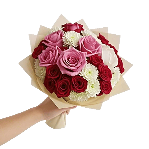 Pink Pastel Roses