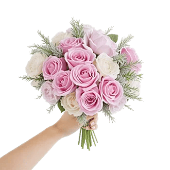 Pastel Pink Roses