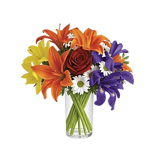 Petal Radiance Bliss