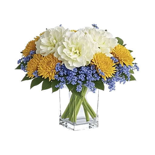 Delicate Petal Cascade