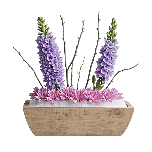 Lavender Fields Forever