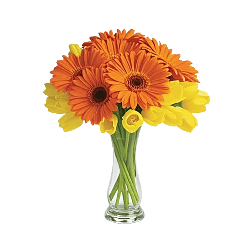 Petal Radiance Bliss
