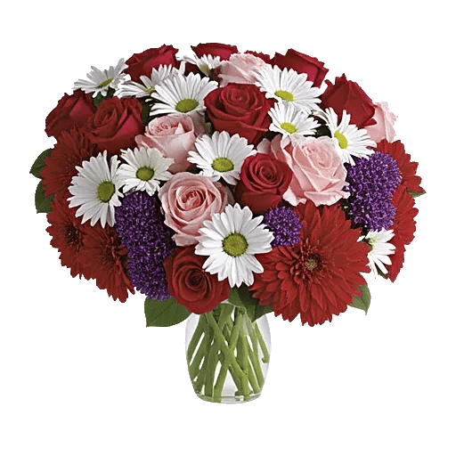 Crimson Blossom Harmony