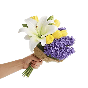 Blossom Harmony Display