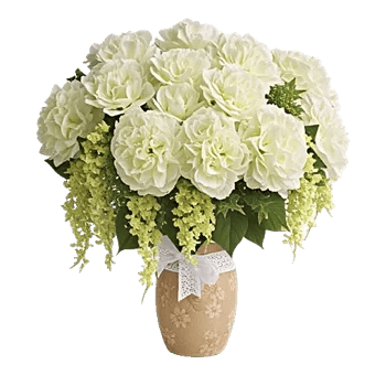Ivory Blossom Radiance