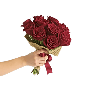 Crimson Rose Elegance