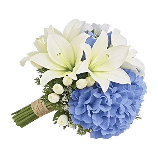 Ivory Blossom Radiance