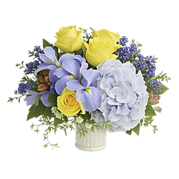 Blossom Petal Serenity