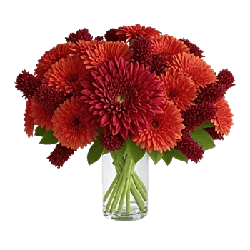 Crimson Blossom Harmony