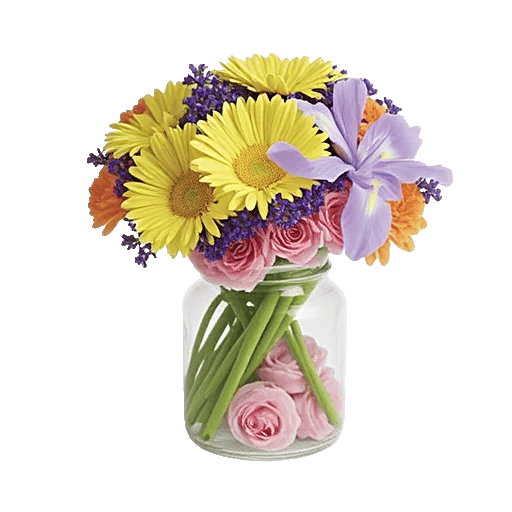 Petal Radiance Bliss