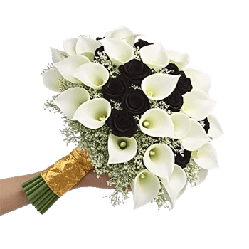 Delicate Petal Cascade