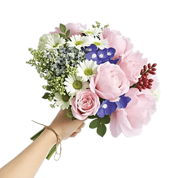 Blossom Harmony Display